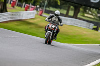 Oulton-Park-17-Aug-2018;PJ-Motorsport-Photography-2018;anglesey;brands-hatch;cadwell-park;croft;donington-park;enduro-digital-images;event-digital-images;eventdigitalimages;mallory;no-limits;oulton-park;peter-wileman-photography;racing-digital-images;silverstone;snetterton;trackday-digital-images;trackday-photos;vmcc-banbury-run;welsh-2-day-enduro