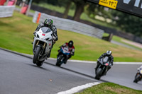 Oulton-Park-17-Aug-2018;PJ-Motorsport-Photography-2018;anglesey;brands-hatch;cadwell-park;croft;donington-park;enduro-digital-images;event-digital-images;eventdigitalimages;mallory;no-limits;oulton-park;peter-wileman-photography;racing-digital-images;silverstone;snetterton;trackday-digital-images;trackday-photos;vmcc-banbury-run;welsh-2-day-enduro