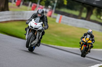 Oulton-Park-17-Aug-2018;PJ-Motorsport-Photography-2018;anglesey;brands-hatch;cadwell-park;croft;donington-park;enduro-digital-images;event-digital-images;eventdigitalimages;mallory;no-limits;oulton-park;peter-wileman-photography;racing-digital-images;silverstone;snetterton;trackday-digital-images;trackday-photos;vmcc-banbury-run;welsh-2-day-enduro
