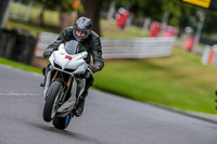 Oulton-Park-17-Aug-2018;PJ-Motorsport-Photography-2018;anglesey;brands-hatch;cadwell-park;croft;donington-park;enduro-digital-images;event-digital-images;eventdigitalimages;mallory;no-limits;oulton-park;peter-wileman-photography;racing-digital-images;silverstone;snetterton;trackday-digital-images;trackday-photos;vmcc-banbury-run;welsh-2-day-enduro