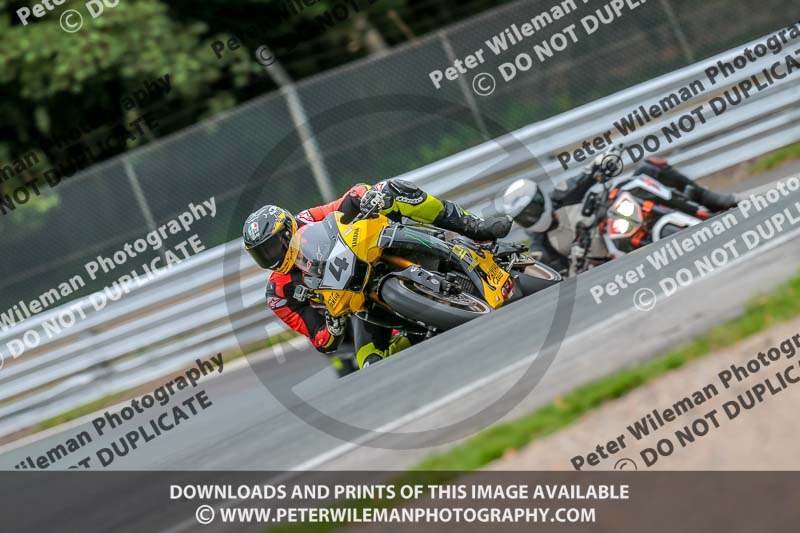 Oulton Park 17 Aug 2018;PJ Motorsport Photography 2018;anglesey;brands hatch;cadwell park;croft;donington park;enduro digital images;event digital images;eventdigitalimages;mallory;no limits;oulton park;peter wileman photography;racing digital images;silverstone;snetterton;trackday digital images;trackday photos;vmcc banbury run;welsh 2 day enduro