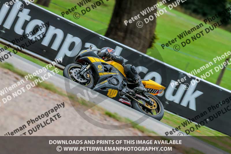 Oulton Park 17 Aug 2018;PJ Motorsport Photography 2018;anglesey;brands hatch;cadwell park;croft;donington park;enduro digital images;event digital images;eventdigitalimages;mallory;no limits;oulton park;peter wileman photography;racing digital images;silverstone;snetterton;trackday digital images;trackday photos;vmcc banbury run;welsh 2 day enduro