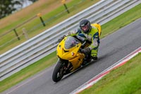 Oulton-Park-17-Aug-2018;PJ-Motorsport-Photography-2018;anglesey;brands-hatch;cadwell-park;croft;donington-park;enduro-digital-images;event-digital-images;eventdigitalimages;mallory;no-limits;oulton-park;peter-wileman-photography;racing-digital-images;silverstone;snetterton;trackday-digital-images;trackday-photos;vmcc-banbury-run;welsh-2-day-enduro