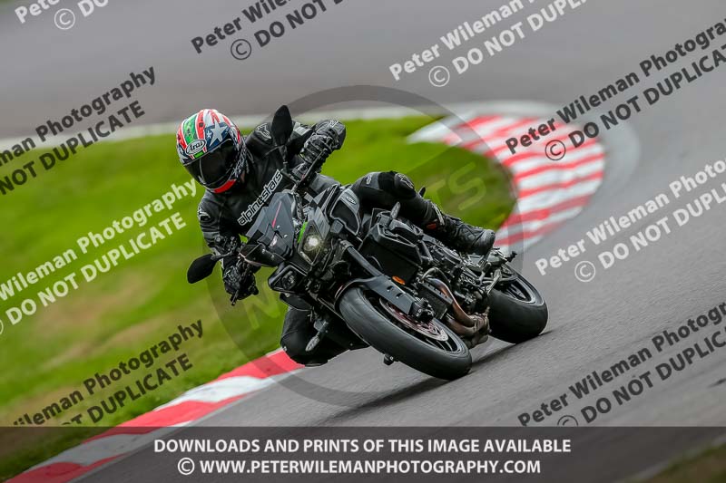 Oulton Park 17 Aug 2018;PJ Motorsport Photography 2018;anglesey;brands hatch;cadwell park;croft;donington park;enduro digital images;event digital images;eventdigitalimages;mallory;no limits;oulton park;peter wileman photography;racing digital images;silverstone;snetterton;trackday digital images;trackday photos;vmcc banbury run;welsh 2 day enduro