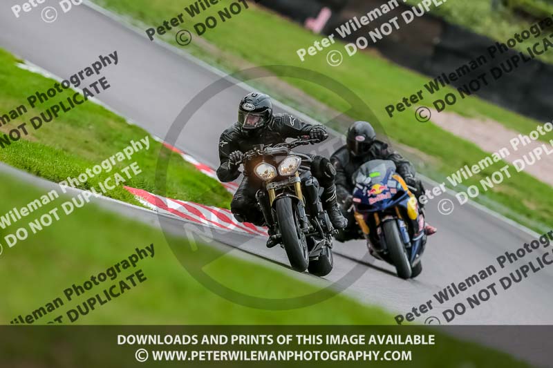 Oulton Park 17 Aug 2018;PJ Motorsport Photography 2018;anglesey;brands hatch;cadwell park;croft;donington park;enduro digital images;event digital images;eventdigitalimages;mallory;no limits;oulton park;peter wileman photography;racing digital images;silverstone;snetterton;trackday digital images;trackday photos;vmcc banbury run;welsh 2 day enduro