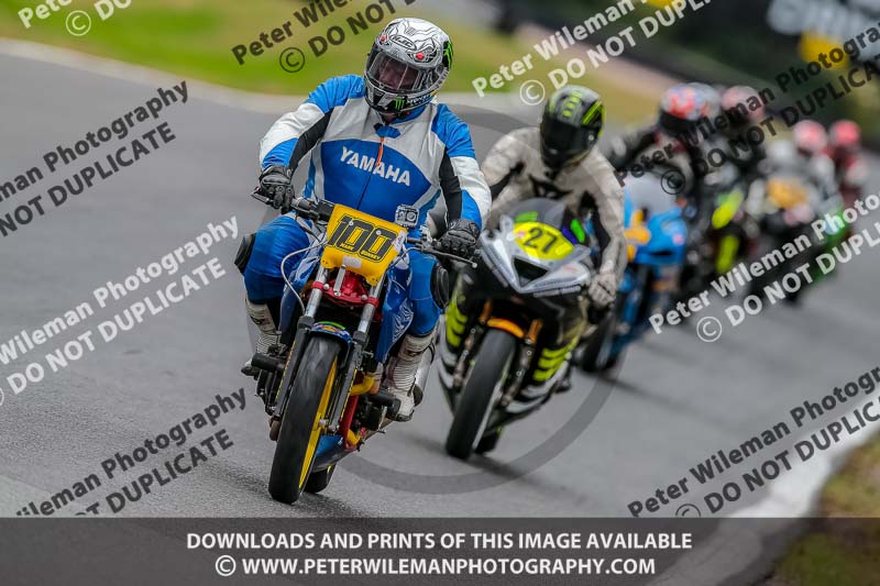 Oulton Park 17 Aug 2018;PJ Motorsport Photography 2018;anglesey;brands hatch;cadwell park;croft;donington park;enduro digital images;event digital images;eventdigitalimages;mallory;no limits;oulton park;peter wileman photography;racing digital images;silverstone;snetterton;trackday digital images;trackday photos;vmcc banbury run;welsh 2 day enduro