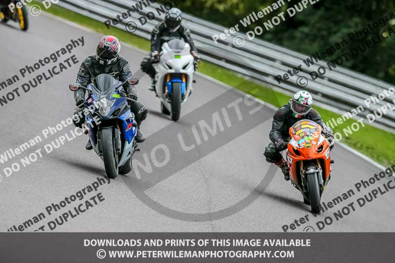 Oulton Park 17 Aug 2018;PJ Motorsport Photography 2018;anglesey;brands hatch;cadwell park;croft;donington park;enduro digital images;event digital images;eventdigitalimages;mallory;no limits;oulton park;peter wileman photography;racing digital images;silverstone;snetterton;trackday digital images;trackday photos;vmcc banbury run;welsh 2 day enduro