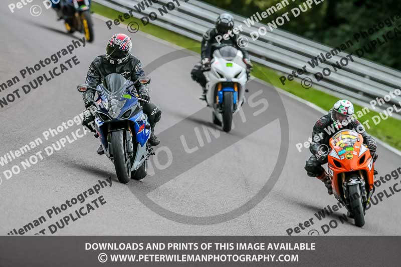 Oulton Park 17 Aug 2018;PJ Motorsport Photography 2018;anglesey;brands hatch;cadwell park;croft;donington park;enduro digital images;event digital images;eventdigitalimages;mallory;no limits;oulton park;peter wileman photography;racing digital images;silverstone;snetterton;trackday digital images;trackday photos;vmcc banbury run;welsh 2 day enduro