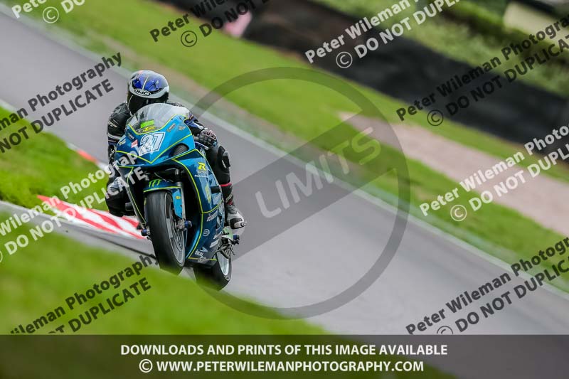 Oulton Park 17 Aug 2018;PJ Motorsport Photography 2018;anglesey;brands hatch;cadwell park;croft;donington park;enduro digital images;event digital images;eventdigitalimages;mallory;no limits;oulton park;peter wileman photography;racing digital images;silverstone;snetterton;trackday digital images;trackday photos;vmcc banbury run;welsh 2 day enduro