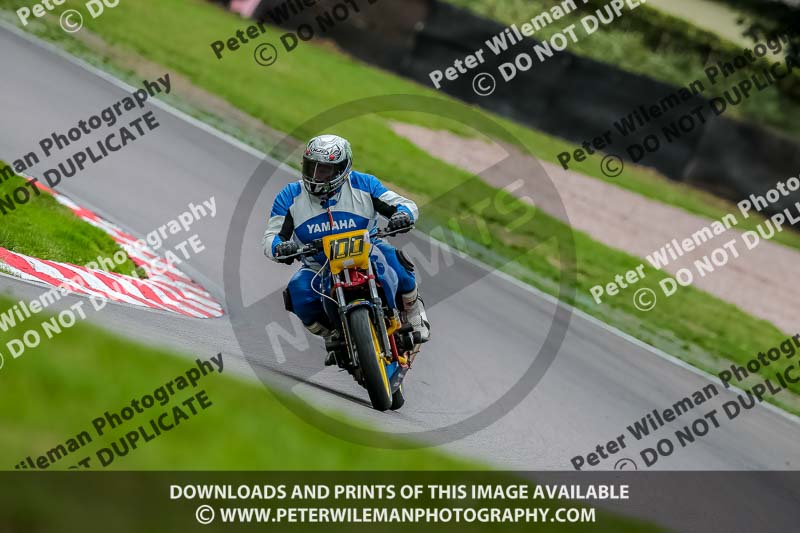 Oulton Park 17 Aug 2018;PJ Motorsport Photography 2018;anglesey;brands hatch;cadwell park;croft;donington park;enduro digital images;event digital images;eventdigitalimages;mallory;no limits;oulton park;peter wileman photography;racing digital images;silverstone;snetterton;trackday digital images;trackday photos;vmcc banbury run;welsh 2 day enduro