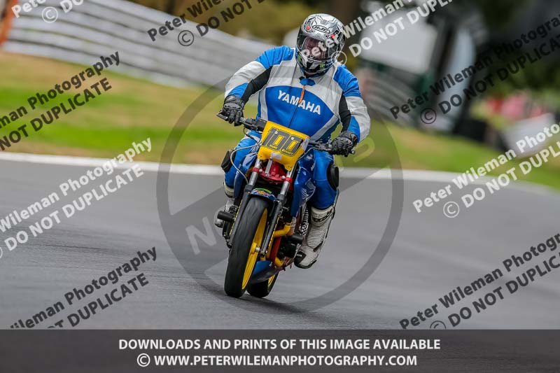Oulton Park 17 Aug 2018;PJ Motorsport Photography 2018;anglesey;brands hatch;cadwell park;croft;donington park;enduro digital images;event digital images;eventdigitalimages;mallory;no limits;oulton park;peter wileman photography;racing digital images;silverstone;snetterton;trackday digital images;trackday photos;vmcc banbury run;welsh 2 day enduro