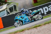 Oulton-Park-17-Aug-2018;PJ-Motorsport-Photography-2018;anglesey;brands-hatch;cadwell-park;croft;donington-park;enduro-digital-images;event-digital-images;eventdigitalimages;mallory;no-limits;oulton-park;peter-wileman-photography;racing-digital-images;silverstone;snetterton;trackday-digital-images;trackday-photos;vmcc-banbury-run;welsh-2-day-enduro