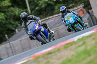 Oulton-Park-17-Aug-2018;PJ-Motorsport-Photography-2018;anglesey;brands-hatch;cadwell-park;croft;donington-park;enduro-digital-images;event-digital-images;eventdigitalimages;mallory;no-limits;oulton-park;peter-wileman-photography;racing-digital-images;silverstone;snetterton;trackday-digital-images;trackday-photos;vmcc-banbury-run;welsh-2-day-enduro