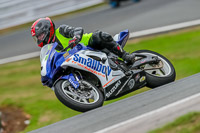 Oulton-Park-17-Aug-2018;PJ-Motorsport-Photography-2018;anglesey;brands-hatch;cadwell-park;croft;donington-park;enduro-digital-images;event-digital-images;eventdigitalimages;mallory;no-limits;oulton-park;peter-wileman-photography;racing-digital-images;silverstone;snetterton;trackday-digital-images;trackday-photos;vmcc-banbury-run;welsh-2-day-enduro