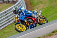 Oulton-Park-17-Aug-2018;PJ-Motorsport-Photography-2018;anglesey;brands-hatch;cadwell-park;croft;donington-park;enduro-digital-images;event-digital-images;eventdigitalimages;mallory;no-limits;oulton-park;peter-wileman-photography;racing-digital-images;silverstone;snetterton;trackday-digital-images;trackday-photos;vmcc-banbury-run;welsh-2-day-enduro