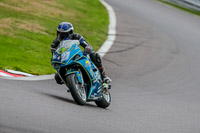 Oulton-Park-17-Aug-2018;PJ-Motorsport-Photography-2018;anglesey;brands-hatch;cadwell-park;croft;donington-park;enduro-digital-images;event-digital-images;eventdigitalimages;mallory;no-limits;oulton-park;peter-wileman-photography;racing-digital-images;silverstone;snetterton;trackday-digital-images;trackday-photos;vmcc-banbury-run;welsh-2-day-enduro