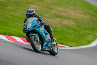 Oulton-Park-17-Aug-2018;PJ-Motorsport-Photography-2018;anglesey;brands-hatch;cadwell-park;croft;donington-park;enduro-digital-images;event-digital-images;eventdigitalimages;mallory;no-limits;oulton-park;peter-wileman-photography;racing-digital-images;silverstone;snetterton;trackday-digital-images;trackday-photos;vmcc-banbury-run;welsh-2-day-enduro