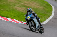 Oulton-Park-17-Aug-2018;PJ-Motorsport-Photography-2018;anglesey;brands-hatch;cadwell-park;croft;donington-park;enduro-digital-images;event-digital-images;eventdigitalimages;mallory;no-limits;oulton-park;peter-wileman-photography;racing-digital-images;silverstone;snetterton;trackday-digital-images;trackday-photos;vmcc-banbury-run;welsh-2-day-enduro