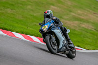 Oulton-Park-17-Aug-2018;PJ-Motorsport-Photography-2018;anglesey;brands-hatch;cadwell-park;croft;donington-park;enduro-digital-images;event-digital-images;eventdigitalimages;mallory;no-limits;oulton-park;peter-wileman-photography;racing-digital-images;silverstone;snetterton;trackday-digital-images;trackday-photos;vmcc-banbury-run;welsh-2-day-enduro