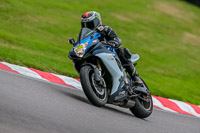 Oulton-Park-17-Aug-2018;PJ-Motorsport-Photography-2018;anglesey;brands-hatch;cadwell-park;croft;donington-park;enduro-digital-images;event-digital-images;eventdigitalimages;mallory;no-limits;oulton-park;peter-wileman-photography;racing-digital-images;silverstone;snetterton;trackday-digital-images;trackday-photos;vmcc-banbury-run;welsh-2-day-enduro