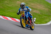 Oulton-Park-17-Aug-2018;PJ-Motorsport-Photography-2018;anglesey;brands-hatch;cadwell-park;croft;donington-park;enduro-digital-images;event-digital-images;eventdigitalimages;mallory;no-limits;oulton-park;peter-wileman-photography;racing-digital-images;silverstone;snetterton;trackday-digital-images;trackday-photos;vmcc-banbury-run;welsh-2-day-enduro