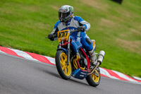 Oulton-Park-17-Aug-2018;PJ-Motorsport-Photography-2018;anglesey;brands-hatch;cadwell-park;croft;donington-park;enduro-digital-images;event-digital-images;eventdigitalimages;mallory;no-limits;oulton-park;peter-wileman-photography;racing-digital-images;silverstone;snetterton;trackday-digital-images;trackday-photos;vmcc-banbury-run;welsh-2-day-enduro