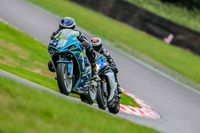 Oulton-Park-17-Aug-2018;PJ-Motorsport-Photography-2018;anglesey;brands-hatch;cadwell-park;croft;donington-park;enduro-digital-images;event-digital-images;eventdigitalimages;mallory;no-limits;oulton-park;peter-wileman-photography;racing-digital-images;silverstone;snetterton;trackday-digital-images;trackday-photos;vmcc-banbury-run;welsh-2-day-enduro