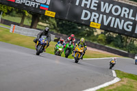 Oulton-Park-17-Aug-2018;PJ-Motorsport-Photography-2018;anglesey;brands-hatch;cadwell-park;croft;donington-park;enduro-digital-images;event-digital-images;eventdigitalimages;mallory;no-limits;oulton-park;peter-wileman-photography;racing-digital-images;silverstone;snetterton;trackday-digital-images;trackday-photos;vmcc-banbury-run;welsh-2-day-enduro