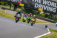 Oulton-Park-17-Aug-2018;PJ-Motorsport-Photography-2018;anglesey;brands-hatch;cadwell-park;croft;donington-park;enduro-digital-images;event-digital-images;eventdigitalimages;mallory;no-limits;oulton-park;peter-wileman-photography;racing-digital-images;silverstone;snetterton;trackday-digital-images;trackday-photos;vmcc-banbury-run;welsh-2-day-enduro