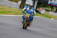 Oulton-Park-17-Aug-2018;PJ-Motorsport-Photography-2018;anglesey;brands-hatch;cadwell-park;croft;donington-park;enduro-digital-images;event-digital-images;eventdigitalimages;mallory;no-limits;oulton-park;peter-wileman-photography;racing-digital-images;silverstone;snetterton;trackday-digital-images;trackday-photos;vmcc-banbury-run;welsh-2-day-enduro