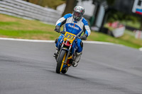 Oulton-Park-17-Aug-2018;PJ-Motorsport-Photography-2018;anglesey;brands-hatch;cadwell-park;croft;donington-park;enduro-digital-images;event-digital-images;eventdigitalimages;mallory;no-limits;oulton-park;peter-wileman-photography;racing-digital-images;silverstone;snetterton;trackday-digital-images;trackday-photos;vmcc-banbury-run;welsh-2-day-enduro