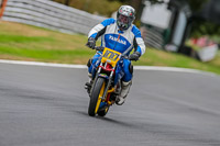 Oulton-Park-17-Aug-2018;PJ-Motorsport-Photography-2018;anglesey;brands-hatch;cadwell-park;croft;donington-park;enduro-digital-images;event-digital-images;eventdigitalimages;mallory;no-limits;oulton-park;peter-wileman-photography;racing-digital-images;silverstone;snetterton;trackday-digital-images;trackday-photos;vmcc-banbury-run;welsh-2-day-enduro