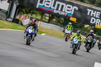 Oulton-Park-17-Aug-2018;PJ-Motorsport-Photography-2018;anglesey;brands-hatch;cadwell-park;croft;donington-park;enduro-digital-images;event-digital-images;eventdigitalimages;mallory;no-limits;oulton-park;peter-wileman-photography;racing-digital-images;silverstone;snetterton;trackday-digital-images;trackday-photos;vmcc-banbury-run;welsh-2-day-enduro
