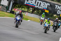 Oulton-Park-17-Aug-2018;PJ-Motorsport-Photography-2018;anglesey;brands-hatch;cadwell-park;croft;donington-park;enduro-digital-images;event-digital-images;eventdigitalimages;mallory;no-limits;oulton-park;peter-wileman-photography;racing-digital-images;silverstone;snetterton;trackday-digital-images;trackday-photos;vmcc-banbury-run;welsh-2-day-enduro