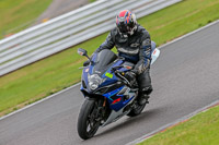 Oulton-Park-17-Aug-2018;PJ-Motorsport-Photography-2018;anglesey;brands-hatch;cadwell-park;croft;donington-park;enduro-digital-images;event-digital-images;eventdigitalimages;mallory;no-limits;oulton-park;peter-wileman-photography;racing-digital-images;silverstone;snetterton;trackday-digital-images;trackday-photos;vmcc-banbury-run;welsh-2-day-enduro