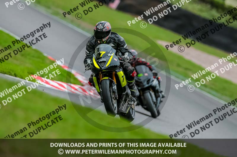 Oulton Park 17 Aug 2018;PJ Motorsport Photography 2018;anglesey;brands hatch;cadwell park;croft;donington park;enduro digital images;event digital images;eventdigitalimages;mallory;no limits;oulton park;peter wileman photography;racing digital images;silverstone;snetterton;trackday digital images;trackday photos;vmcc banbury run;welsh 2 day enduro