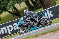 Oulton-Park-17-Aug-2018;PJ-Motorsport-Photography-2018;anglesey;brands-hatch;cadwell-park;croft;donington-park;enduro-digital-images;event-digital-images;eventdigitalimages;mallory;no-limits;oulton-park;peter-wileman-photography;racing-digital-images;silverstone;snetterton;trackday-digital-images;trackday-photos;vmcc-banbury-run;welsh-2-day-enduro