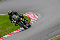 Oulton-Park-17-Aug-2018;PJ-Motorsport-Photography-2018;anglesey;brands-hatch;cadwell-park;croft;donington-park;enduro-digital-images;event-digital-images;eventdigitalimages;mallory;no-limits;oulton-park;peter-wileman-photography;racing-digital-images;silverstone;snetterton;trackday-digital-images;trackday-photos;vmcc-banbury-run;welsh-2-day-enduro