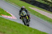 Oulton-Park-17-Aug-2018;PJ-Motorsport-Photography-2018;anglesey;brands-hatch;cadwell-park;croft;donington-park;enduro-digital-images;event-digital-images;eventdigitalimages;mallory;no-limits;oulton-park;peter-wileman-photography;racing-digital-images;silverstone;snetterton;trackday-digital-images;trackday-photos;vmcc-banbury-run;welsh-2-day-enduro