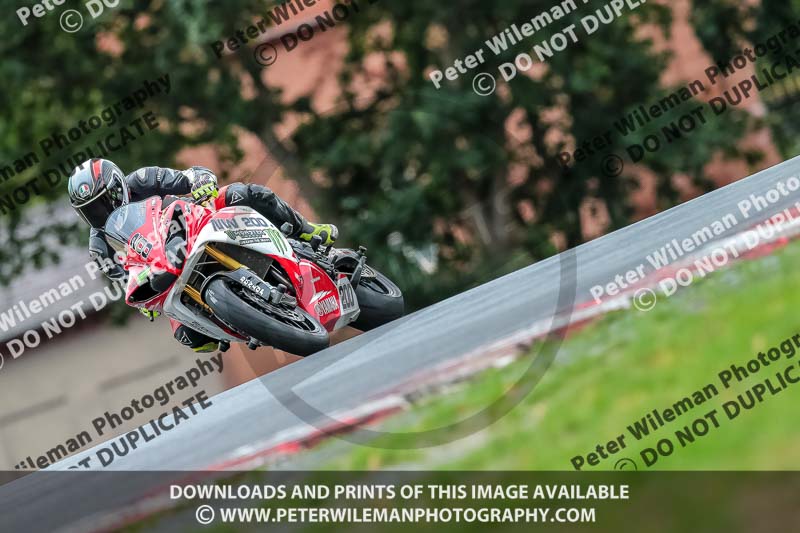 Oulton Park 17 Aug 2018;PJ Motorsport Photography 2018;anglesey;brands hatch;cadwell park;croft;donington park;enduro digital images;event digital images;eventdigitalimages;mallory;no limits;oulton park;peter wileman photography;racing digital images;silverstone;snetterton;trackday digital images;trackday photos;vmcc banbury run;welsh 2 day enduro