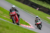 Oulton-Park-17-Aug-2018;PJ-Motorsport-Photography-2018;anglesey;brands-hatch;cadwell-park;croft;donington-park;enduro-digital-images;event-digital-images;eventdigitalimages;mallory;no-limits;oulton-park;peter-wileman-photography;racing-digital-images;silverstone;snetterton;trackday-digital-images;trackday-photos;vmcc-banbury-run;welsh-2-day-enduro