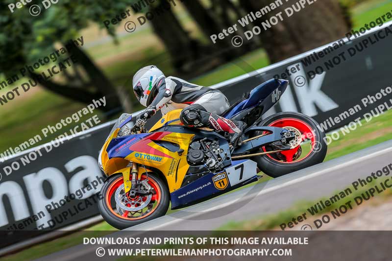 Oulton Park 17 Aug 2018;PJ Motorsport Photography 2018;anglesey;brands hatch;cadwell park;croft;donington park;enduro digital images;event digital images;eventdigitalimages;mallory;no limits;oulton park;peter wileman photography;racing digital images;silverstone;snetterton;trackday digital images;trackday photos;vmcc banbury run;welsh 2 day enduro