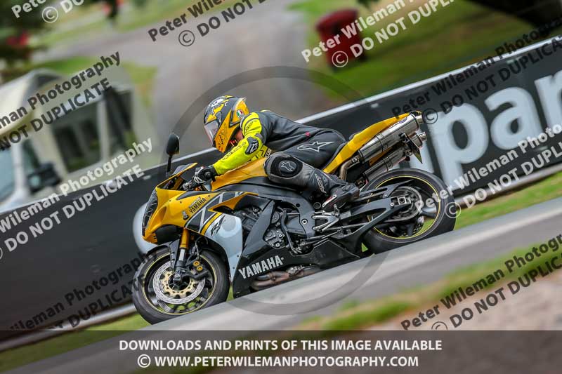 Oulton Park 17 Aug 2018;PJ Motorsport Photography 2018;anglesey;brands hatch;cadwell park;croft;donington park;enduro digital images;event digital images;eventdigitalimages;mallory;no limits;oulton park;peter wileman photography;racing digital images;silverstone;snetterton;trackday digital images;trackday photos;vmcc banbury run;welsh 2 day enduro