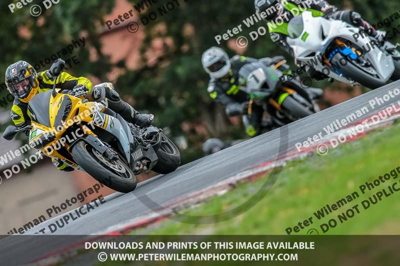 Oulton Park 17 Aug 2018;PJ Motorsport Photography 2018;anglesey;brands hatch;cadwell park;croft;donington park;enduro digital images;event digital images;eventdigitalimages;mallory;no limits;oulton park;peter wileman photography;racing digital images;silverstone;snetterton;trackday digital images;trackday photos;vmcc banbury run;welsh 2 day enduro