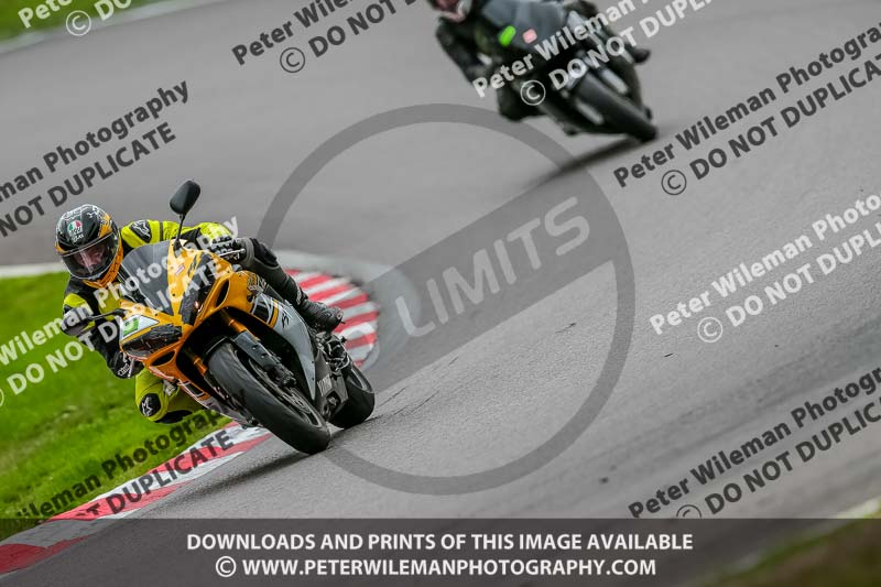 Oulton Park 17 Aug 2018;PJ Motorsport Photography 2018;anglesey;brands hatch;cadwell park;croft;donington park;enduro digital images;event digital images;eventdigitalimages;mallory;no limits;oulton park;peter wileman photography;racing digital images;silverstone;snetterton;trackday digital images;trackday photos;vmcc banbury run;welsh 2 day enduro