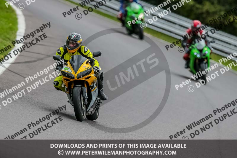 Oulton Park 17 Aug 2018;PJ Motorsport Photography 2018;anglesey;brands hatch;cadwell park;croft;donington park;enduro digital images;event digital images;eventdigitalimages;mallory;no limits;oulton park;peter wileman photography;racing digital images;silverstone;snetterton;trackday digital images;trackday photos;vmcc banbury run;welsh 2 day enduro