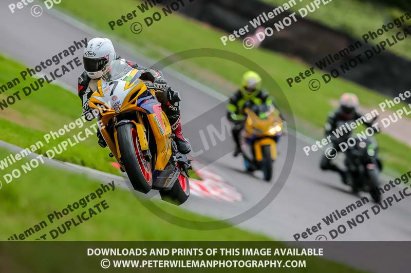 Oulton Park 17 Aug 2018;PJ Motorsport Photography 2018;anglesey;brands hatch;cadwell park;croft;donington park;enduro digital images;event digital images;eventdigitalimages;mallory;no limits;oulton park;peter wileman photography;racing digital images;silverstone;snetterton;trackday digital images;trackday photos;vmcc banbury run;welsh 2 day enduro