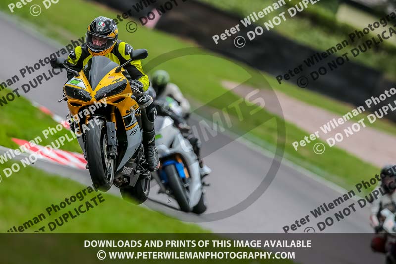 Oulton Park 17 Aug 2018;PJ Motorsport Photography 2018;anglesey;brands hatch;cadwell park;croft;donington park;enduro digital images;event digital images;eventdigitalimages;mallory;no limits;oulton park;peter wileman photography;racing digital images;silverstone;snetterton;trackday digital images;trackday photos;vmcc banbury run;welsh 2 day enduro