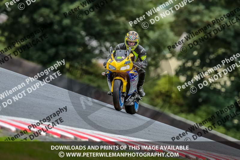 Oulton Park 17 Aug 2018;PJ Motorsport Photography 2018;anglesey;brands hatch;cadwell park;croft;donington park;enduro digital images;event digital images;eventdigitalimages;mallory;no limits;oulton park;peter wileman photography;racing digital images;silverstone;snetterton;trackday digital images;trackday photos;vmcc banbury run;welsh 2 day enduro