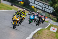 Oulton-Park-17-Aug-2018;PJ-Motorsport-Photography-2018;anglesey;brands-hatch;cadwell-park;croft;donington-park;enduro-digital-images;event-digital-images;eventdigitalimages;mallory;no-limits;oulton-park;peter-wileman-photography;racing-digital-images;silverstone;snetterton;trackday-digital-images;trackday-photos;vmcc-banbury-run;welsh-2-day-enduro